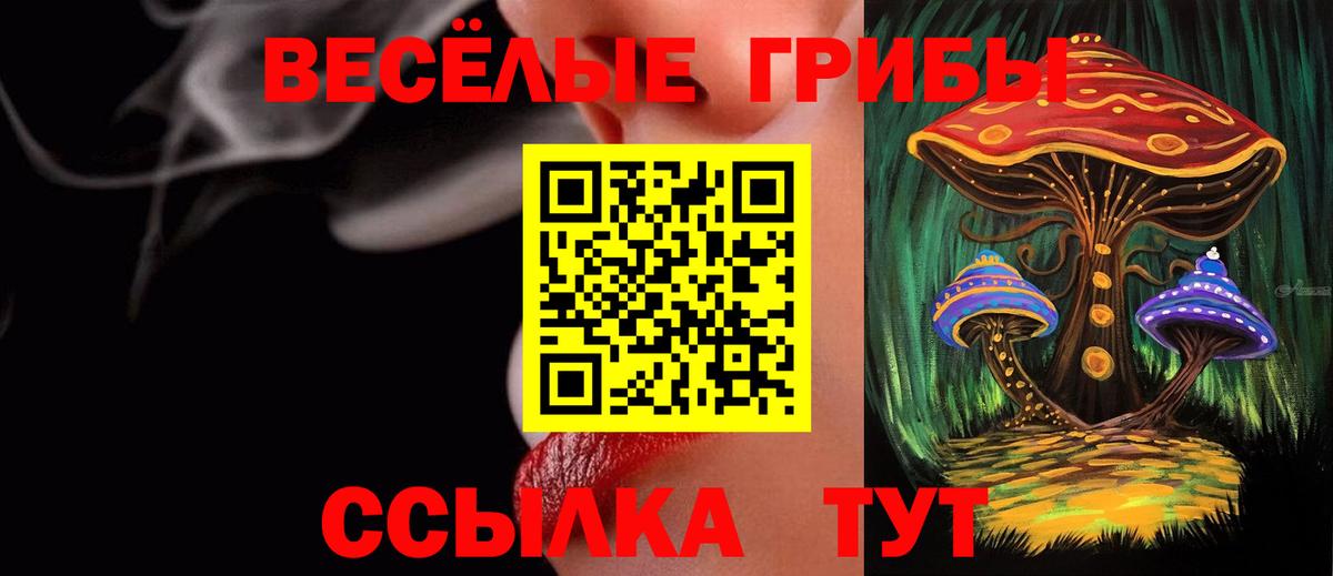 Галлюциногенные грибы Cubensis  Вход с VPN  Отрадное  Псилоцибиновые грибы GOLDEN TEACHER 